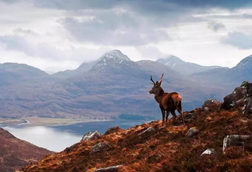 Fotos del hotel Nethybridge:  25