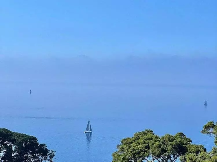 Fotos del hotel La Vega:  7