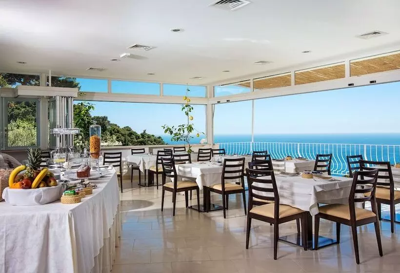 Fotos del hotel La Vega:  4