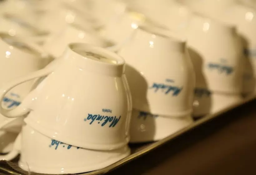 Fotos del hotel Mokinba Hotels Baviera:  6