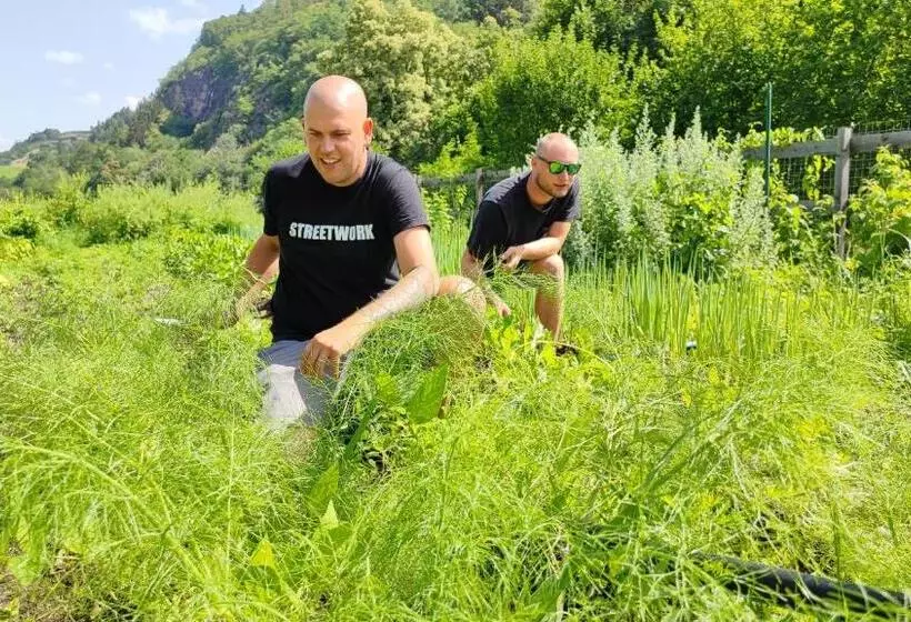 Fotos del hotel Relais & Chateaux Hotel Castel Fragsburg:  4