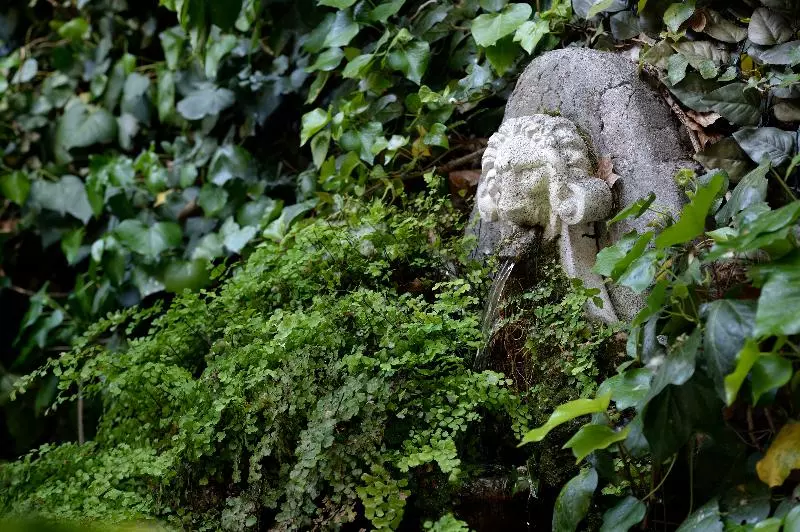 Fotos del hotel Giulio Cesare:  18