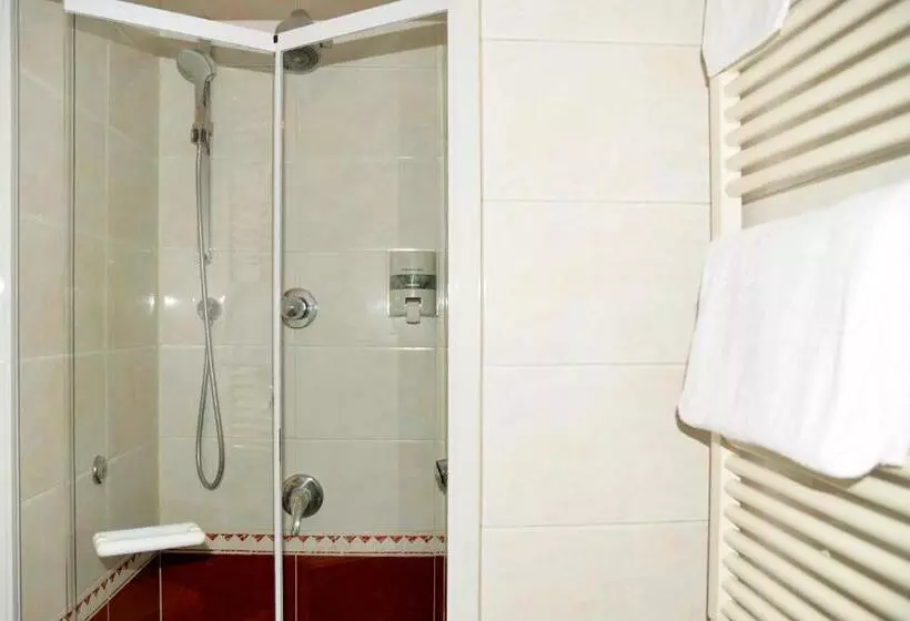 Fotos del hotel Giotto:  9