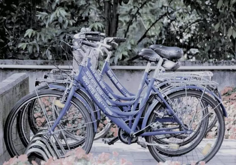 Fotos del hotel Novo Hotel Rossi:  25