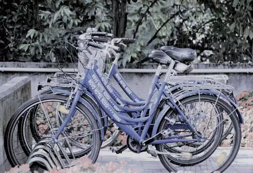 Fotos del hotel Novo Hotel Rossi:  12