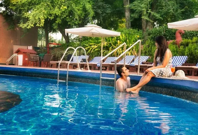 Fotos del hotel Clarks Shiraz:  3