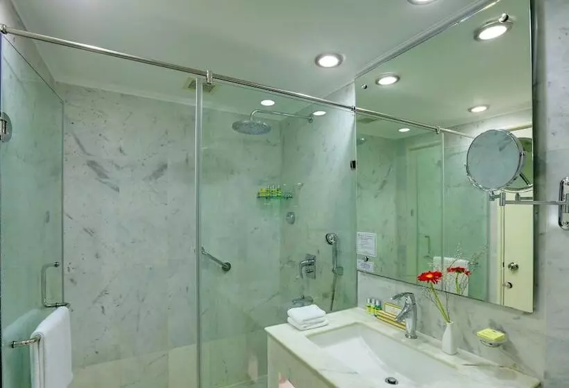 Fotos del hotel Clarks Shiraz:  19