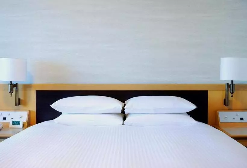 Fotos del hotel Nikko Narita:  25