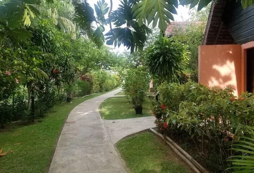 Fotos del hotel Firefly Beach Cottages And Suites:  14