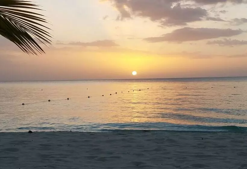 Fotos del hotel White Sands Negril:  17