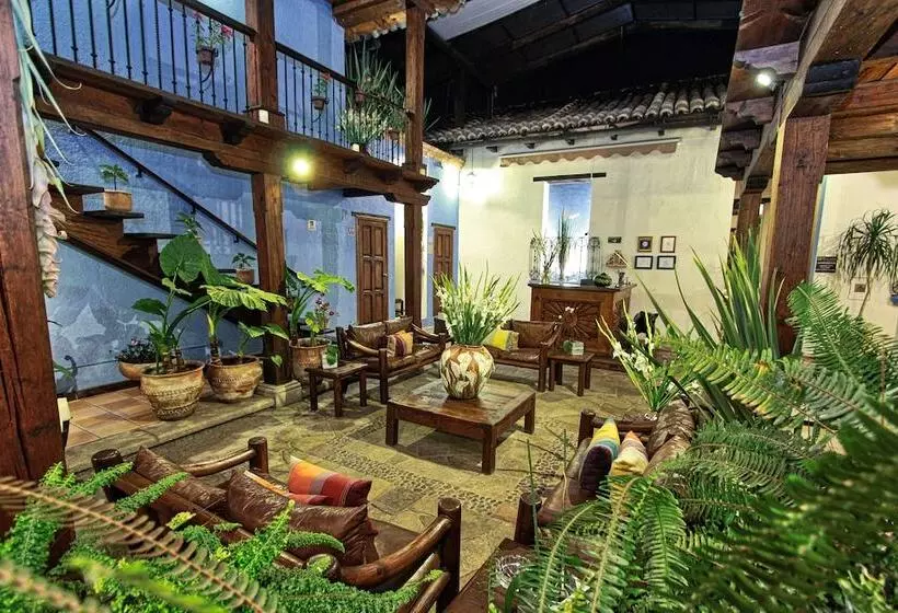 Fotos del hotel Docecuartos:  2