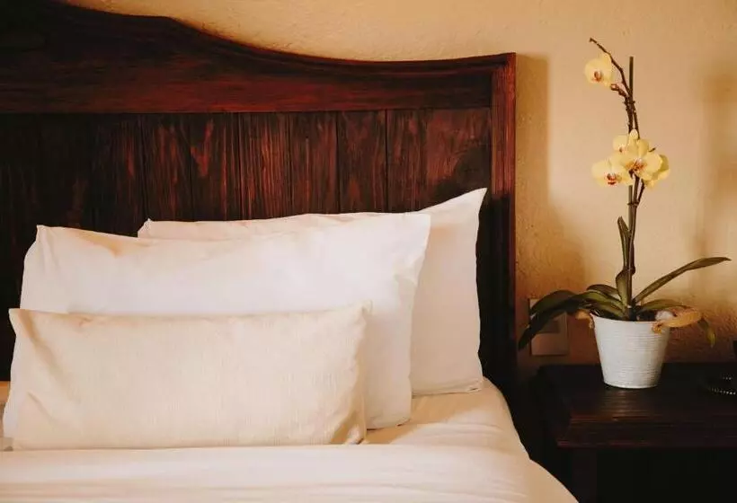 Fotos del hotel Docecuartos:  17