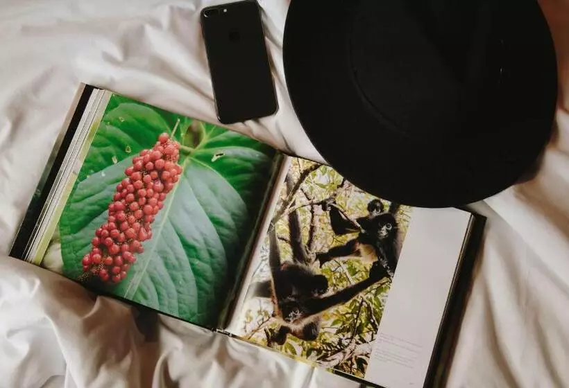 Fotos del hotel Docecuartos:  13