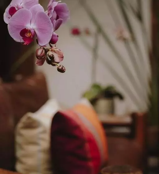 Fotos del hotel Docecuartos:  7