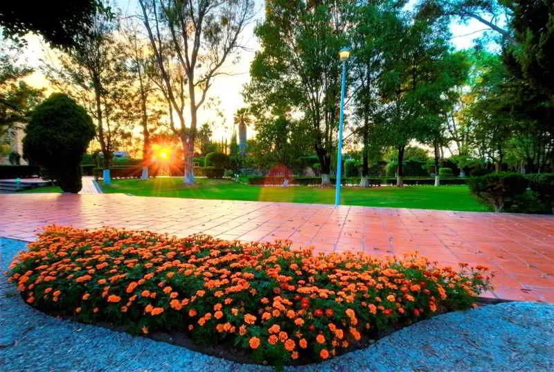 Fotos del hotel Las Trojes:  6