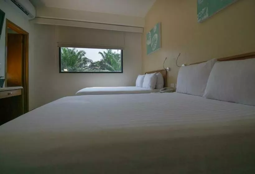 Fotos del hotel Olmeca Plaza Urban Express:  25