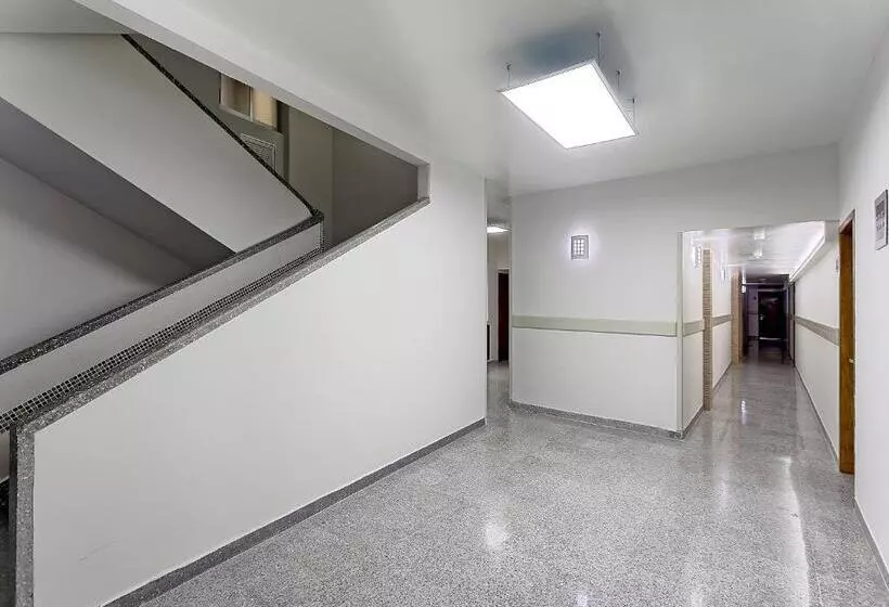 Fotos del hotel Olmeca Plaza Urban Express:  3