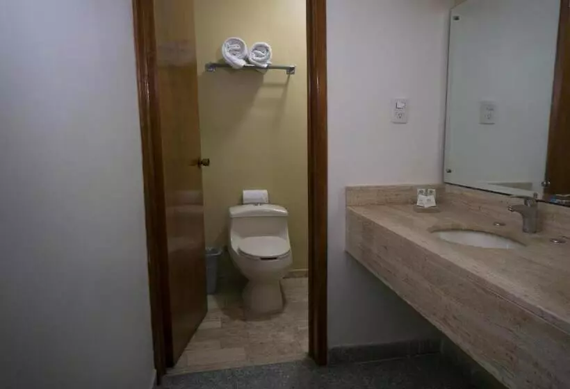 Fotos del hotel Olmeca Plaza Urban Express:  6