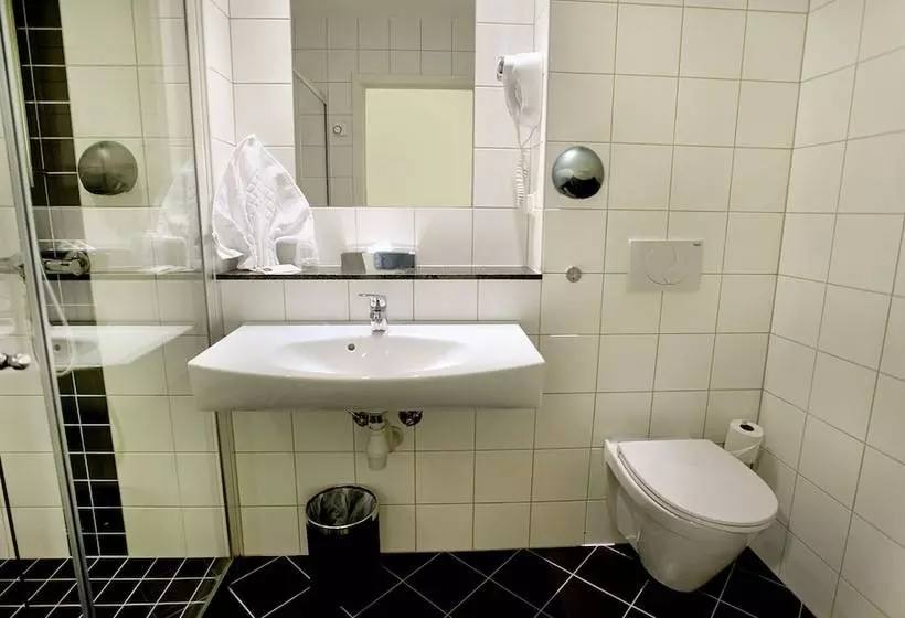 Fotos del hotel Thon Hotel Baronen:  9