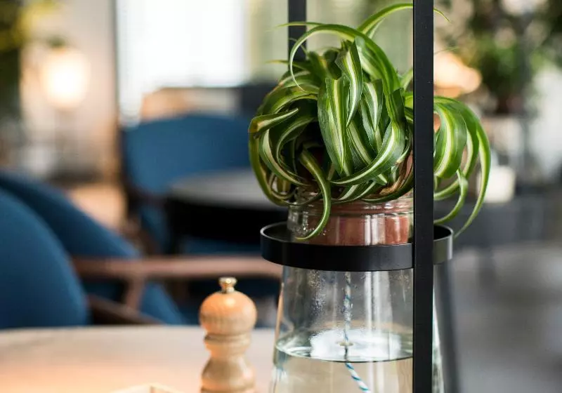 Fotos del hotel The Lancaster Hotel Amsterdam:  23