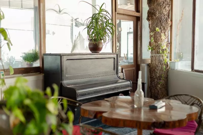 Fotos del hotel Estalagem Muchaxo:  4