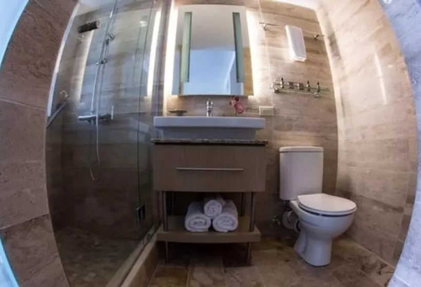 Fotos del hotel The Executive Hotel:  8