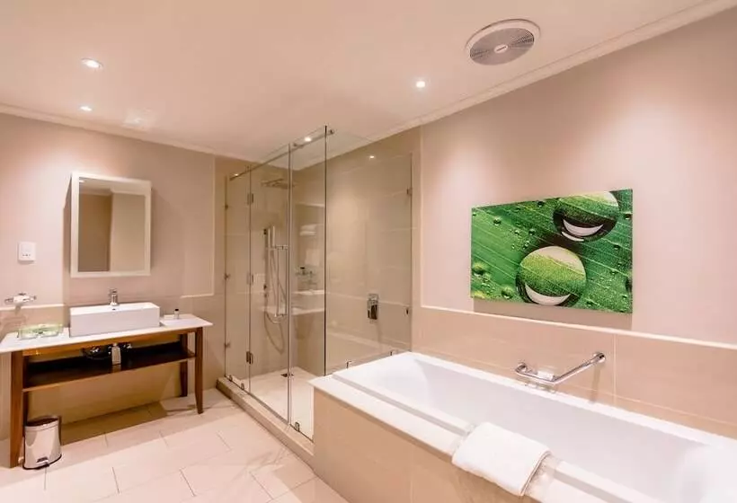 Fotos del hotel Gold Reef City Theme Park:  8