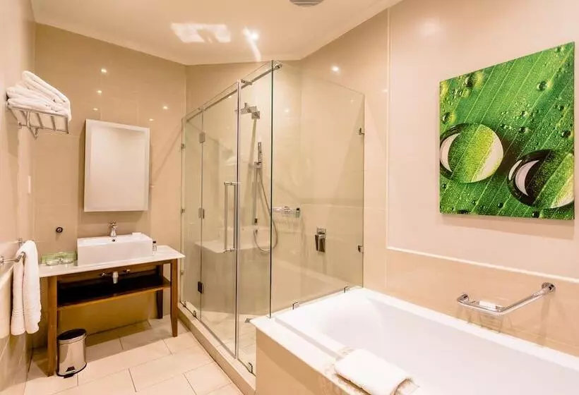 Fotos del hotel Gold Reef City Theme Park:  14