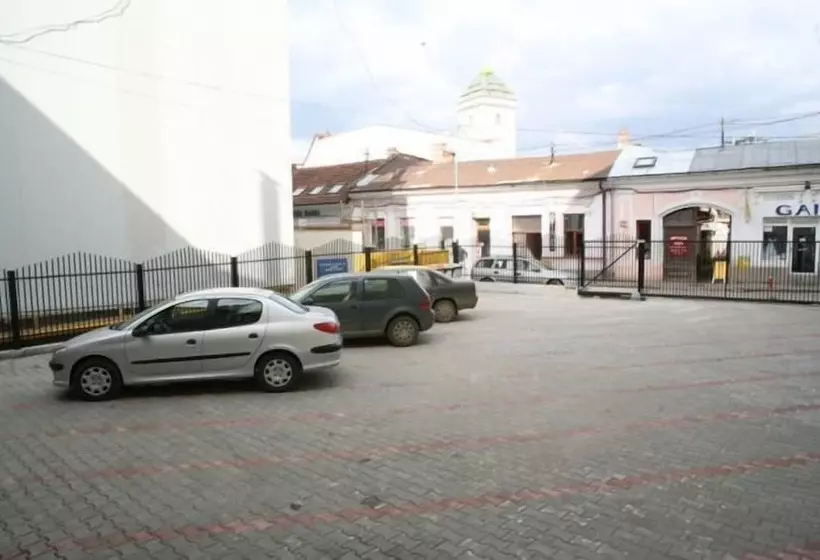 Fotos del hotel Transilvania:  7