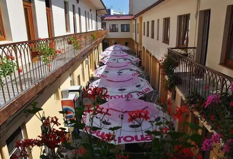 Fotos del hotel Transilvania:  5