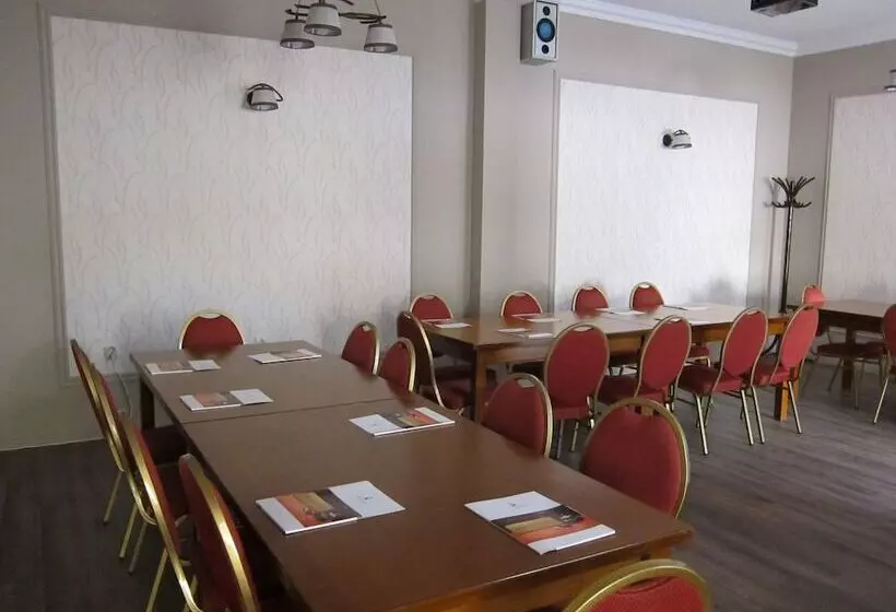 Fotos del hotel Transilvania:  13