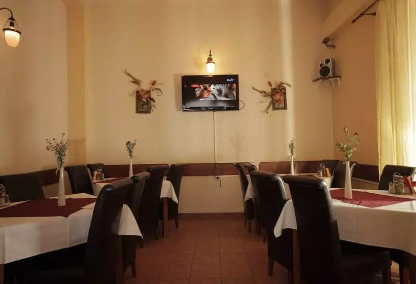 Fotos del hotel Transilvania:  3