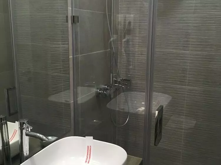 Fotos del hotel Transilvania:  18