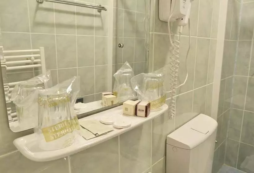 Fotos del hotel Transilvania:  11