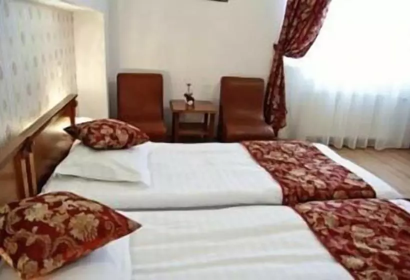 Fotos del hotel Transilvania:  21