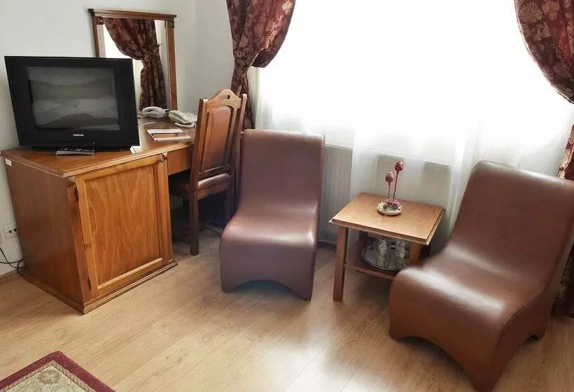 Fotos del hotel Transilvania:  25