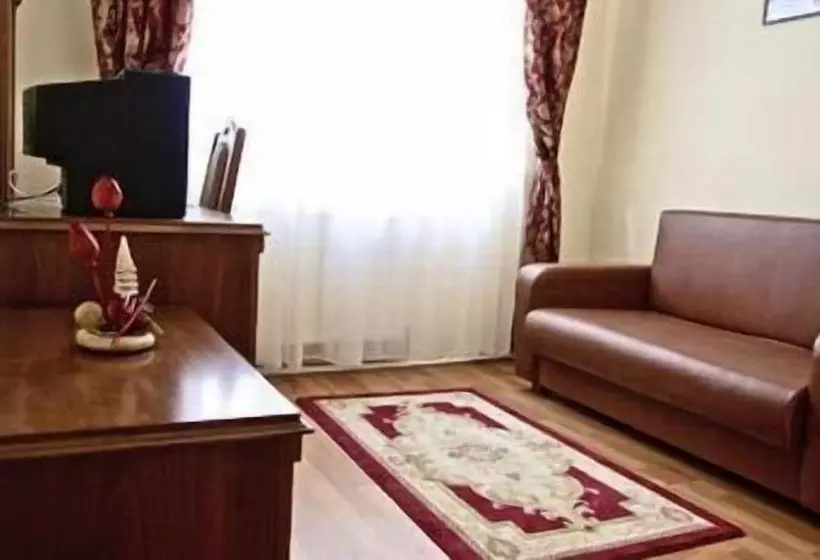 Fotos del hotel Transilvania:  24