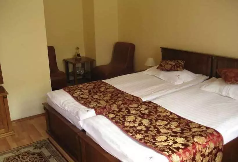 Fotos del hotel Transilvania:  19