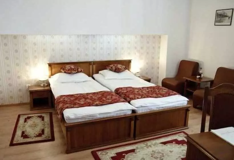 Fotos del hotel Transilvania:  17