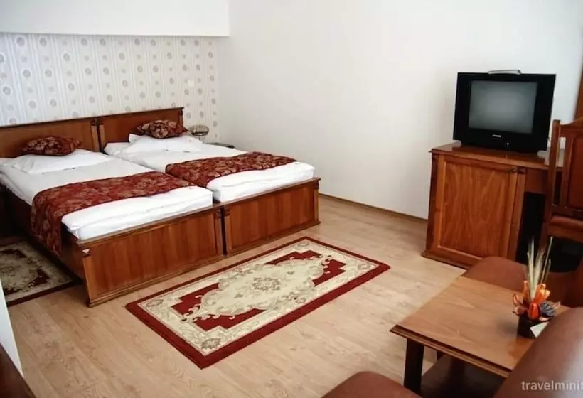 Fotos del hotel Transilvania:  15