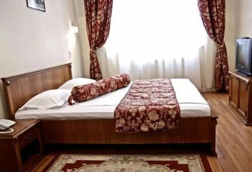 Fotos del hotel Transilvania:  8