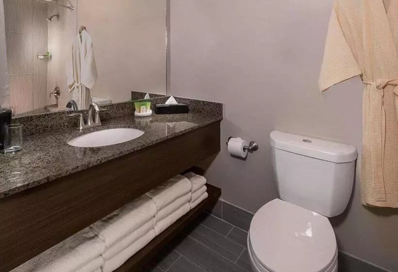 Fotos del hotel Arizona Charlie S Decatur:  8