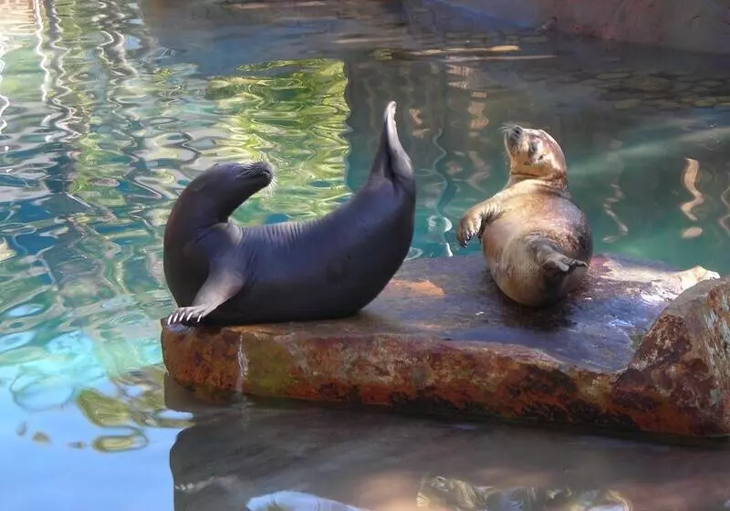 Fotos del hotel Bahia Resort:  19