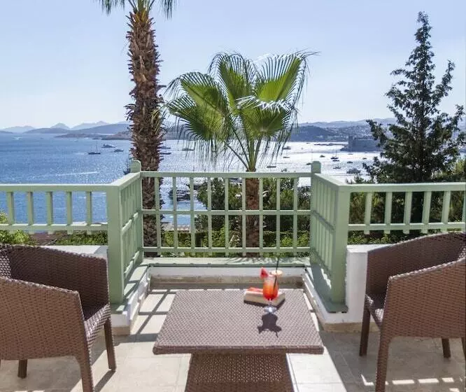 Fotos del hotel Manastir Hotel & Suites:  9