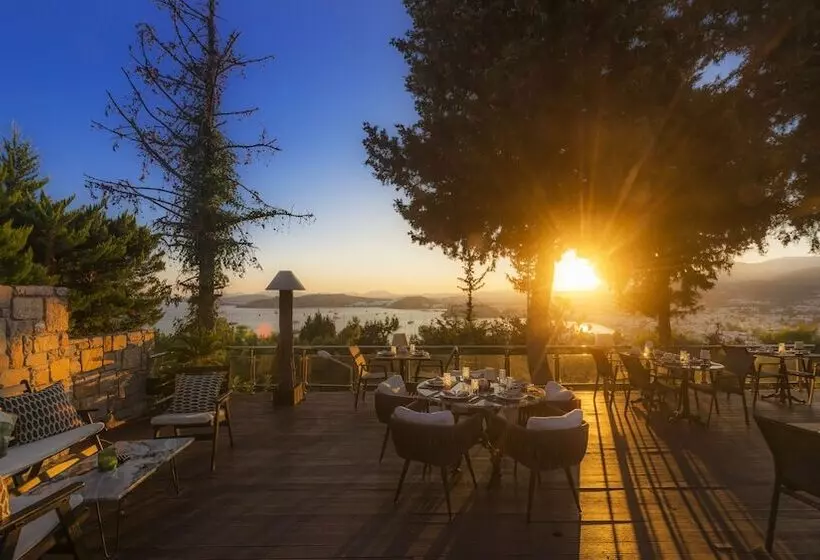 Fotos del hotel Manastir Hotel & Suites:  19