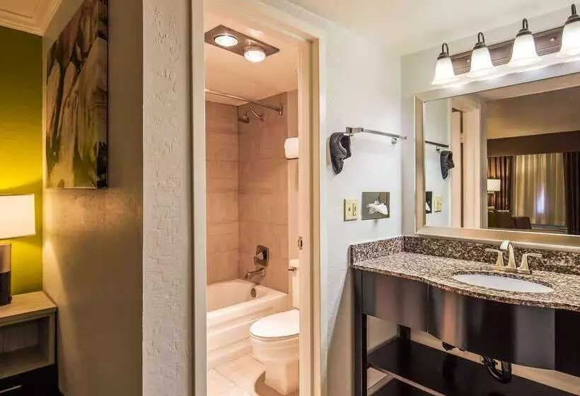 Fotos del hotel Best Western Innsuites Phoenix Hotel & Suites:  11