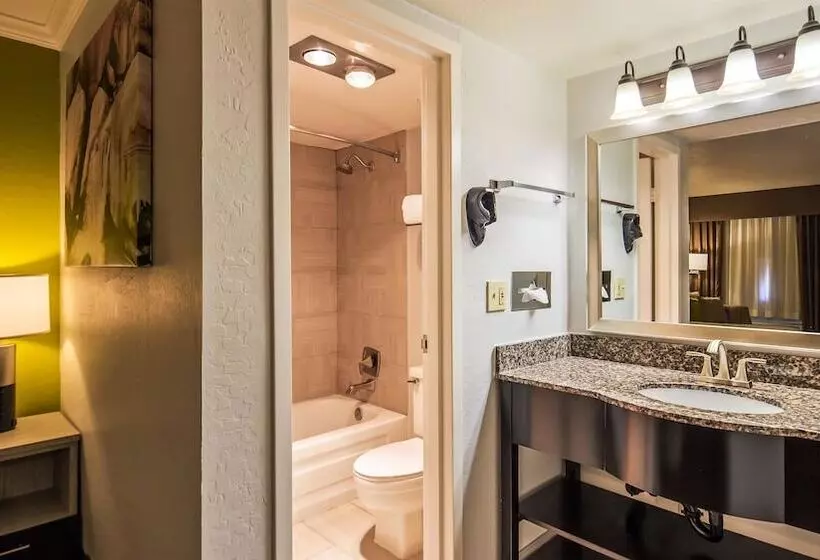 Fotos del hotel Best Western Innsuites Phoenix Hotel & Suites:  5