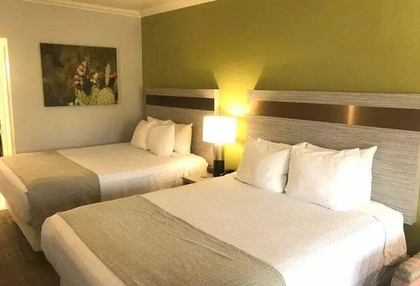 Fotos del hotel Best Western Innsuites Phoenix Hotel & Suites:  12