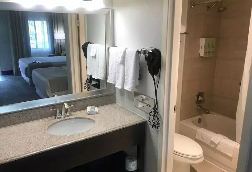 Fotos del hotel Best Western Innsuites Phoenix Hotel & Suites:  13