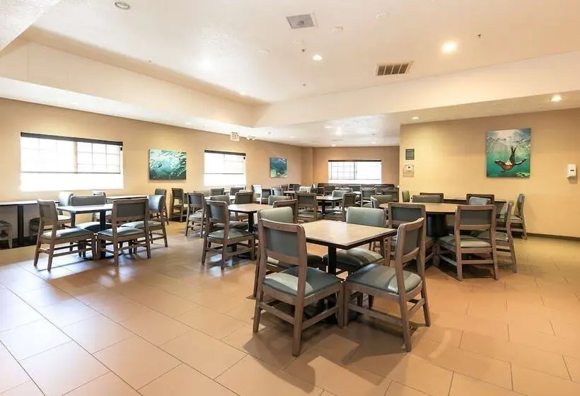 Fotos del hotel Comfort Inn & Suites San Diego Zoo Seaworld Area:  10
